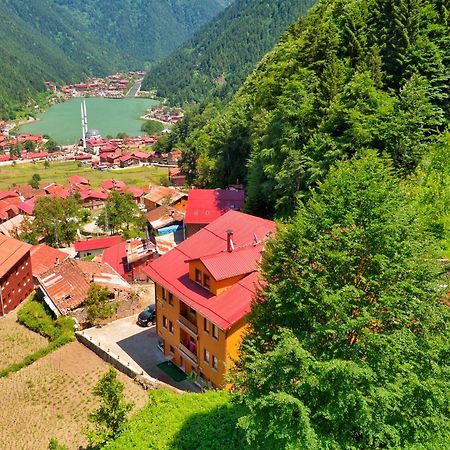 Aparthotel Auga Apart Uzungöl Exteriér fotografie