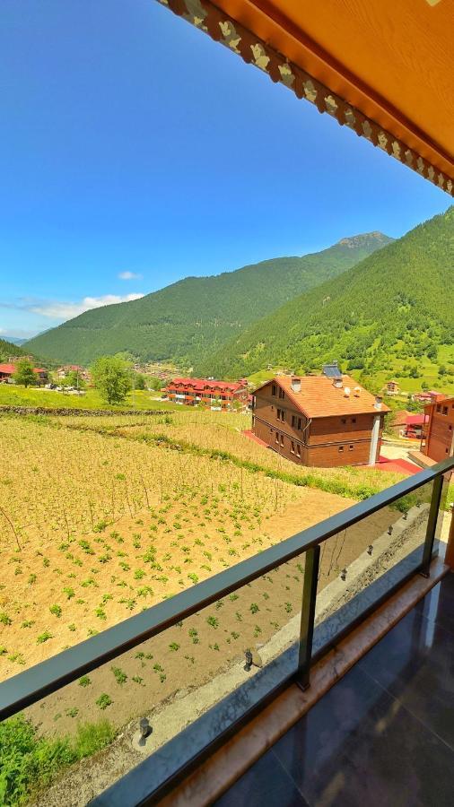 Aparthotel Auga Apart Uzungöl Exteriér fotografie