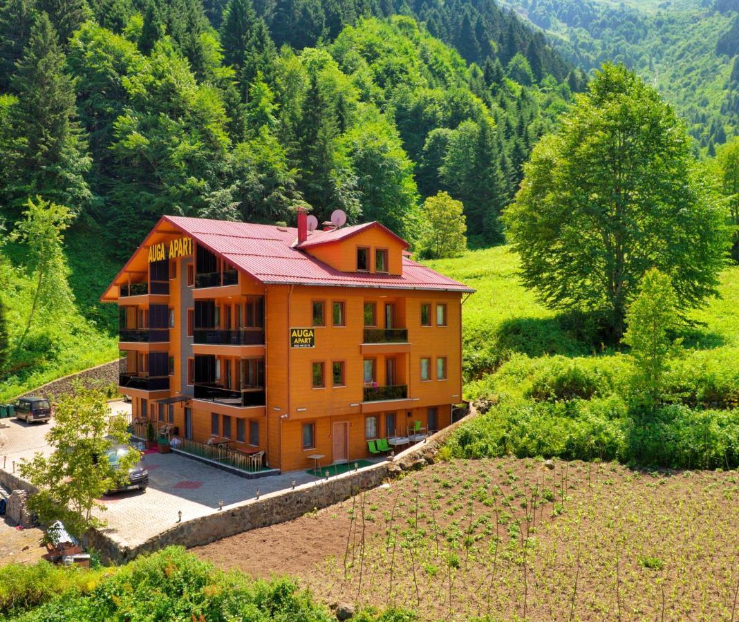 Aparthotel Auga Apart Uzungöl Exteriér fotografie