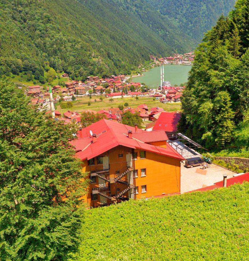 Auga Apart Uzungöl Exteriér fotografie